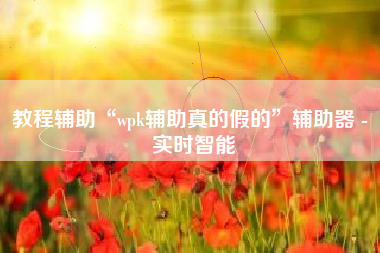 教程辅助“wpk辅助真的假的	”辅助器 - 实时智能