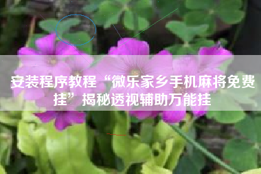 安装程序教程“微乐家乡手机麻将免费挂	”揭秘透视辅助万能挂