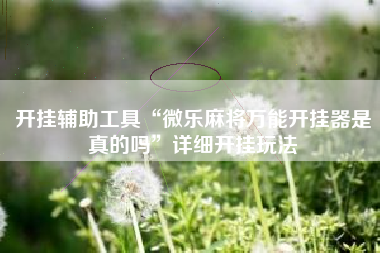 开挂辅助工具“微乐麻将万能开挂器是真的吗”详细开挂玩法