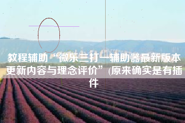 教程辅助“微乐三打一辅助器最新版本更新内容与理念评价	”(原来确实是有插件