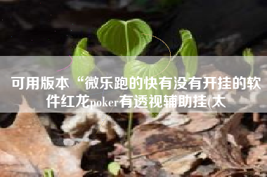 可用版本“微乐跑的快有没有开挂的软件红龙poker有透视辅助挂(太