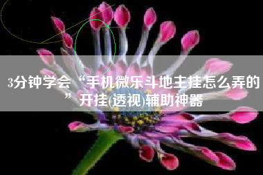 3分钟学会“手机微乐斗地主挂怎么弄的”开挂(透视)辅助神器