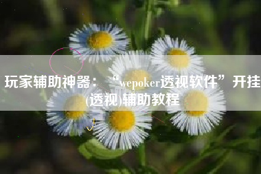 玩家辅助神器：“wepoker透视软件”开挂(透视)辅助教程