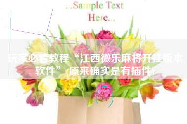 玩家必看教程“江西微乐麻将开挂版本软件”(原来确实是有插件)