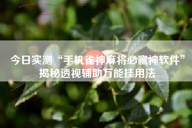 今日实测“手机雀神麻将必赢神软件	”揭秘透视辅助万能挂用法