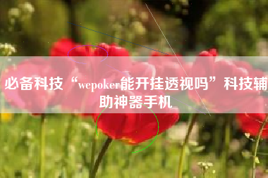 必备科技“wepoker能开挂透视吗	”科技辅助神器手机