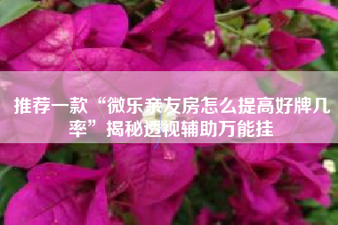 推荐一款“微乐亲友房怎么提高好牌几率	”揭秘透视辅助万能挂