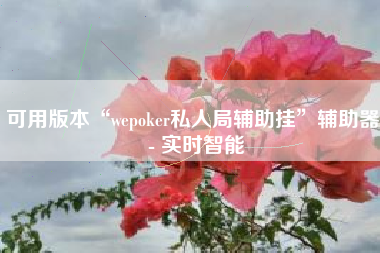 可用版本“wepoker私人局辅助挂”辅助器 - 实时智能
