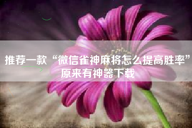 推荐一款“微信雀神麻将怎么提高胜率”原来有神器下载