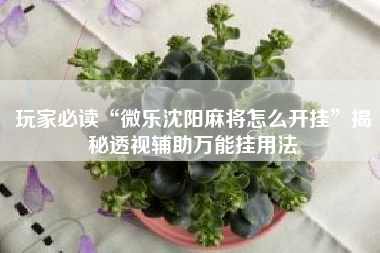 玩家必读“微乐沈阳麻将怎么开挂”揭秘透视辅助万能挂用法