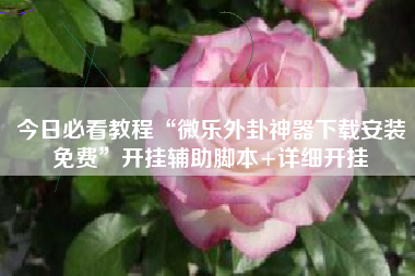 今日必看教程“微乐外卦神器下载安装免费”开挂辅助脚本+详细开挂