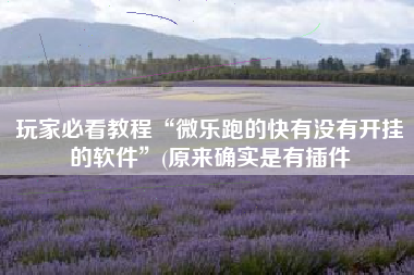 玩家必看教程“微乐跑的快有没有开挂的软件”(原来确实是有插件