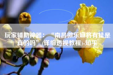 玩家辅助神器：“南昌微乐麻将有挂是真的吗”(详细透视教程)-知乎