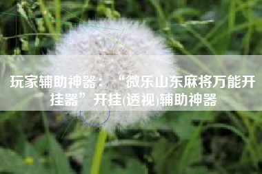 玩家辅助神器：“微乐山东麻将万能开挂器	”开挂(透视)辅助神器