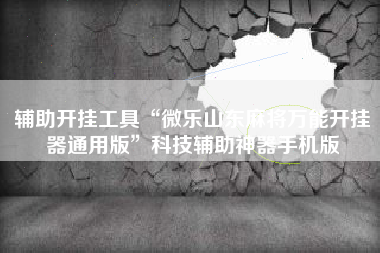 辅助开挂工具“微乐山东麻将万能开挂器通用版	”科技辅助神器手机版
