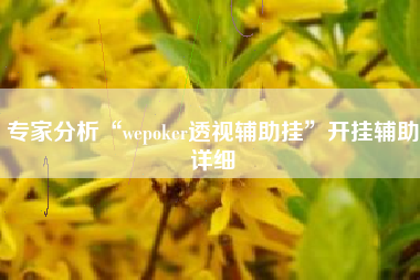 专家分析“wepoker透视辅助挂”开挂辅助详细