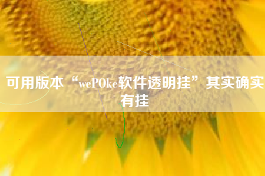 可用版本“wePOke软件透明挂	”其实确实有挂