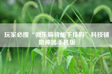 玩家必搜“微乐麻将能下挂吗”科技辅助神器手机版