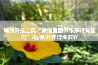 辅助开挂工具“微信里面微乐麻将有挂吗”(透视)开挂详细教程