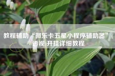 教程辅助“微乐卡五星小程序辅助器”(透视)开挂详细教程