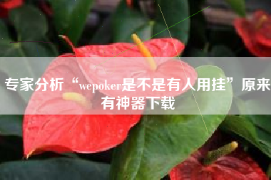专家分析“wepoker是不是有人用挂”原来有神器下载
