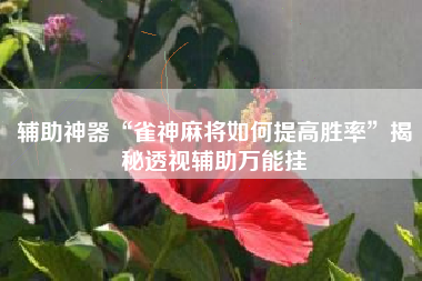 辅助神器“雀神麻将如何提高胜率”揭秘透视辅助万能挂