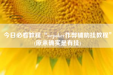 今日必看教程“wepoker作弊辅助挂教程	”(原来确实是有挂)