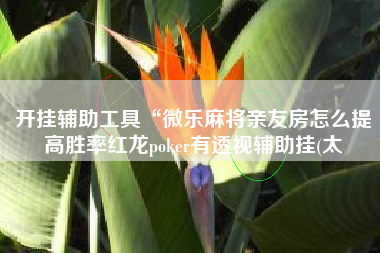开挂辅助工具“微乐麻将亲友房怎么提高胜率红龙poker有透视辅助挂(太