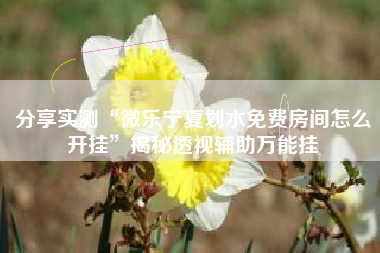 分享实测“微乐宁夏划水免费房间怎么开挂	”揭秘透视辅助万能挂