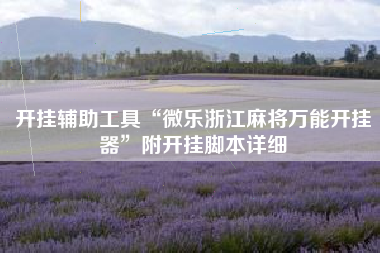 开挂辅助工具“微乐浙江麻将万能开挂器	”附开挂脚本详细