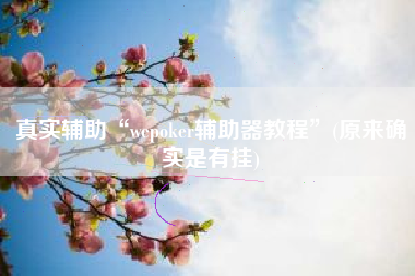 真实辅助“wepoker辅助器教程	”(原来确实是有挂)