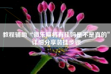 教程辅助“微乐麻将有挂吗是不是真的”详细分享装挂步骤