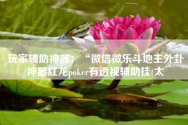 玩家辅助神器：“微信微乐斗地主外卦神器红龙poker有透视辅助挂(太