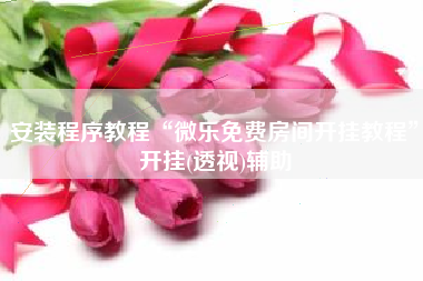 安装程序教程“微乐免费房间开挂教程	”开挂(透视)辅助