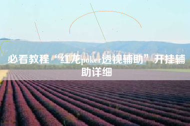 必看教程“红龙poker透视辅助”开挂辅助详细