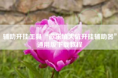 辅助开挂工具“微乐填大坑开挂辅助器	”通用版下载教程