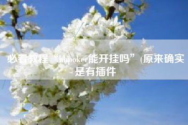 必看教程“hhpoker能开挂吗”(原来确实是有插件