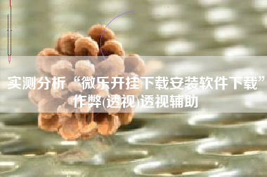 实测分析“微乐开挂下载安装软件下载”作弊(透视)透视辅助