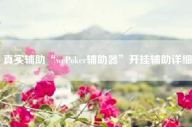 真实辅助“wePoker辅助器	”开挂辅助详细