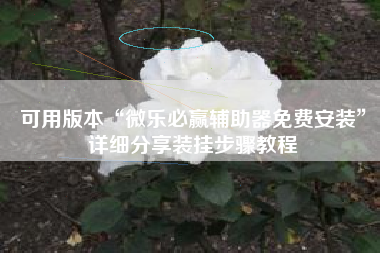 可用版本“微乐必赢辅助器免费安装”详细分享装挂步骤教程