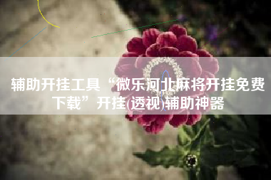 辅助开挂工具“微乐河北麻将开挂免费下载	”开挂(透视)辅助神器