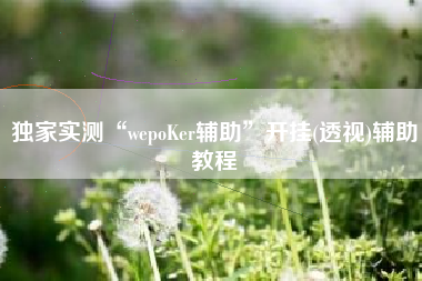 独家实测“wepoKer辅助”开挂(透视)辅助教程