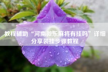 教程辅助“河南微乐麻将有挂吗”详细分享装挂步骤教程