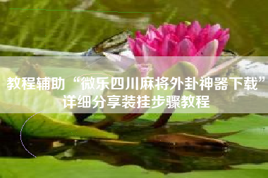 教程辅助“微乐四川麻将外卦神器下载	”详细分享装挂步骤教程