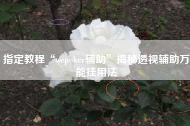 指定教程“wepoker辅助”揭秘透视辅助万能挂用法