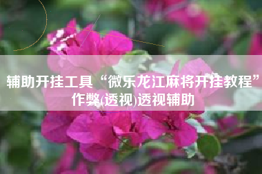 辅助开挂工具“微乐龙江麻将开挂教程”作弊(透视)透视辅助