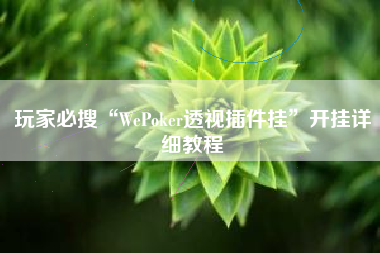 玩家必搜“WePoker透视插件挂	”开挂详细教程