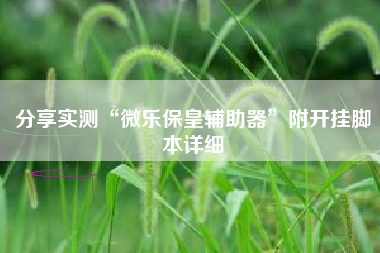 分享实测“微乐保皇辅助器”附开挂脚本详细