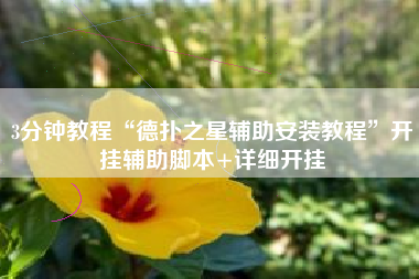 3分钟教程“德扑之星辅助安装教程”开挂辅助脚本+详细开挂