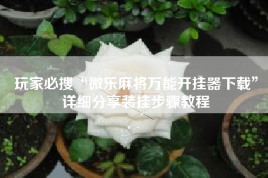 玩家必搜“微乐麻将万能开挂器下载	”详细分享装挂步骤教程